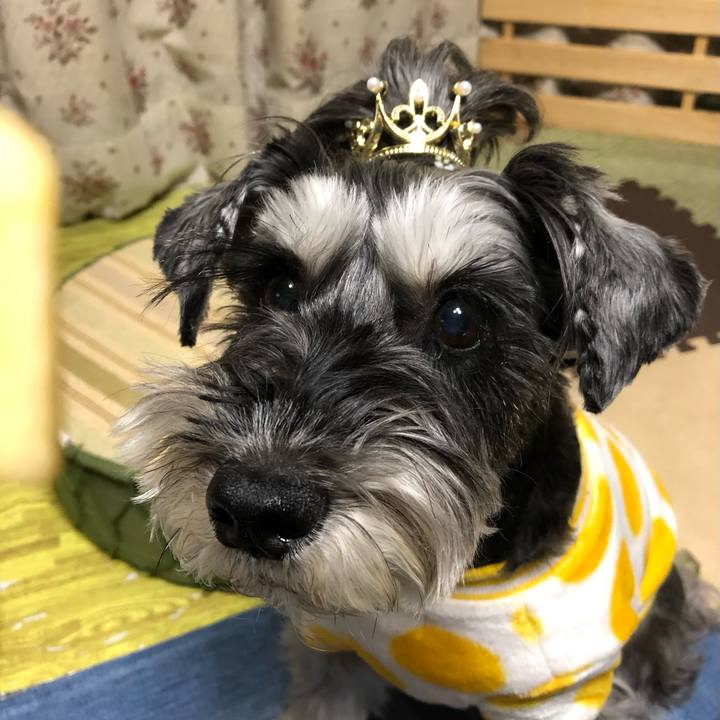 A5c25588 f553 4fde 9a14 0df34cc2cbf2 1704371686170