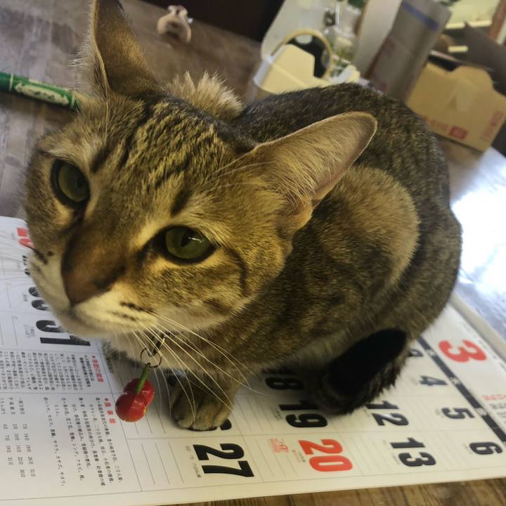 A5c29586 6f9f 45c9 9956 2b62a50f9101 1614053188060