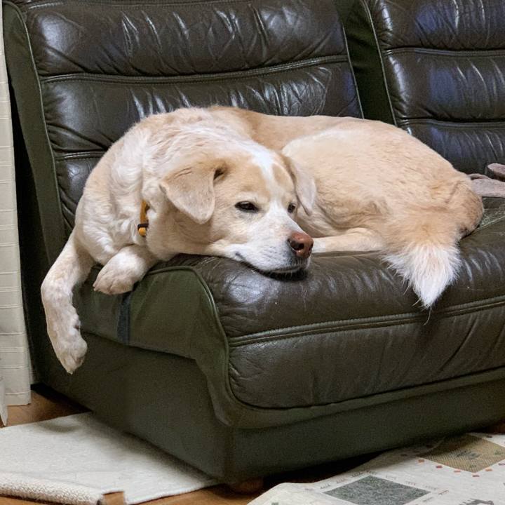 A5c2998a 2dbe 4ec0 89ed 5a656f5968b4 1611408413275