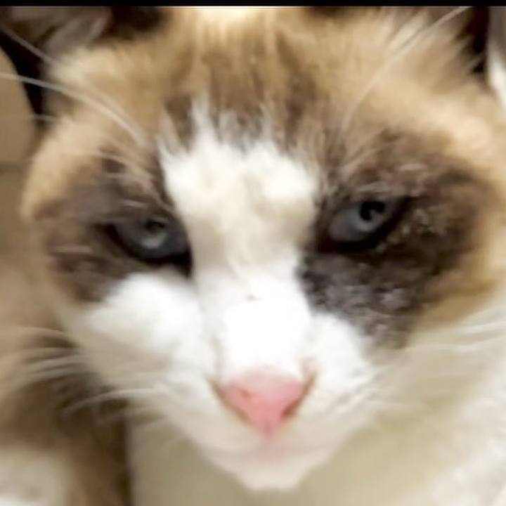 A5c2c1fa 934e 4295 8b44 5721c2a71b9b 1733823154075