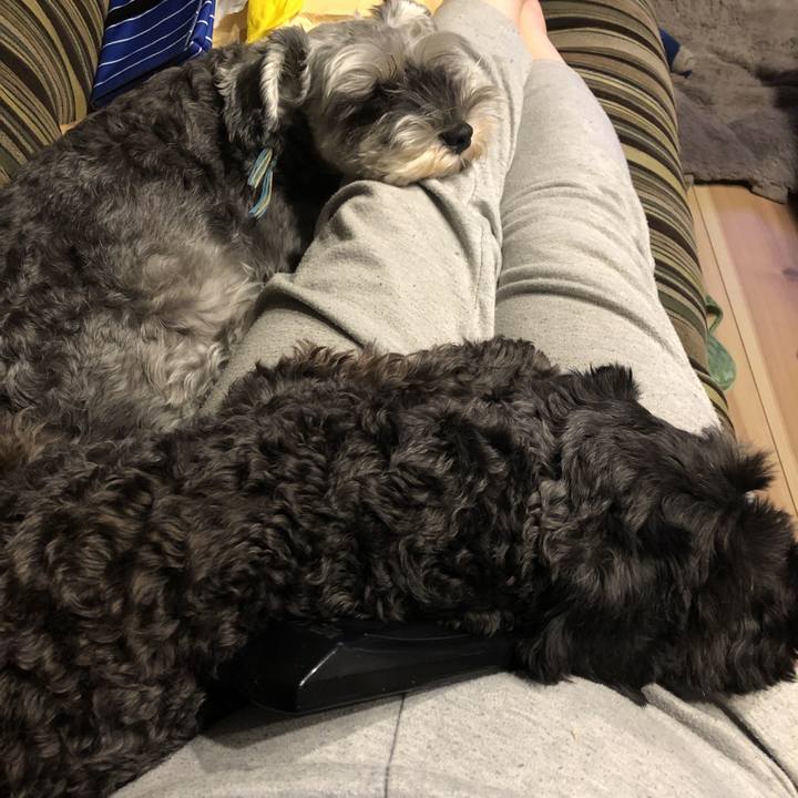 A5c2dff7 5b4d 4ed1 aa0d 1a19b44a111b 1572431435628