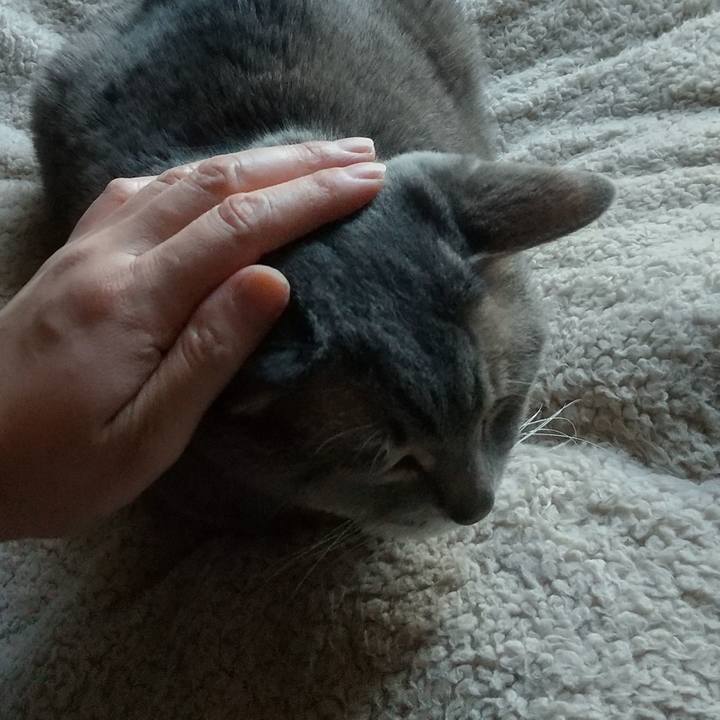 A5c2eeee e693 4766 938b 017e1d6e94ca 1684917947953