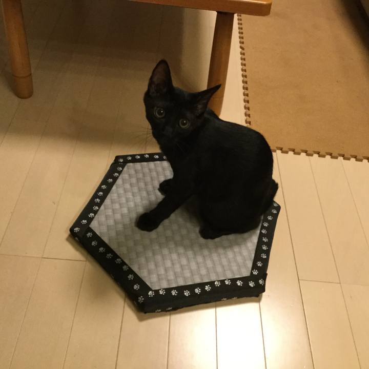 A5c3058f dc32 4d71 9d42 a93003152c1e 1589258851861