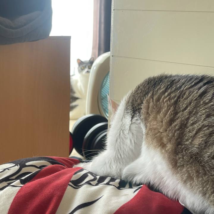 A5c31352 669e 4e68 bf53 9e535f9e246a 1634948549572