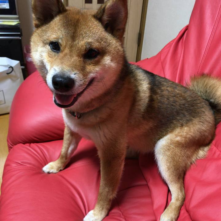 A5c32f64 738c 47d3 8c11 e061bd316273 1528972765256