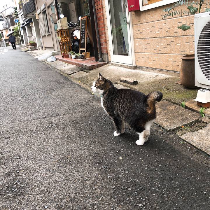 A5c3611e 719f 4d05 91a2 203985c1cda1 1580031644772