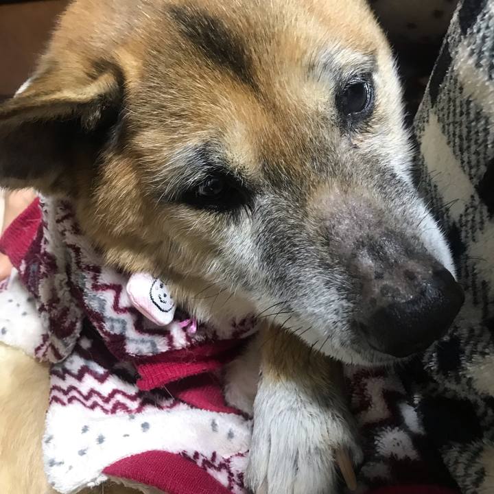 A5c384bf ea56 40b4 8779 112d4dc646dc 1547689388442