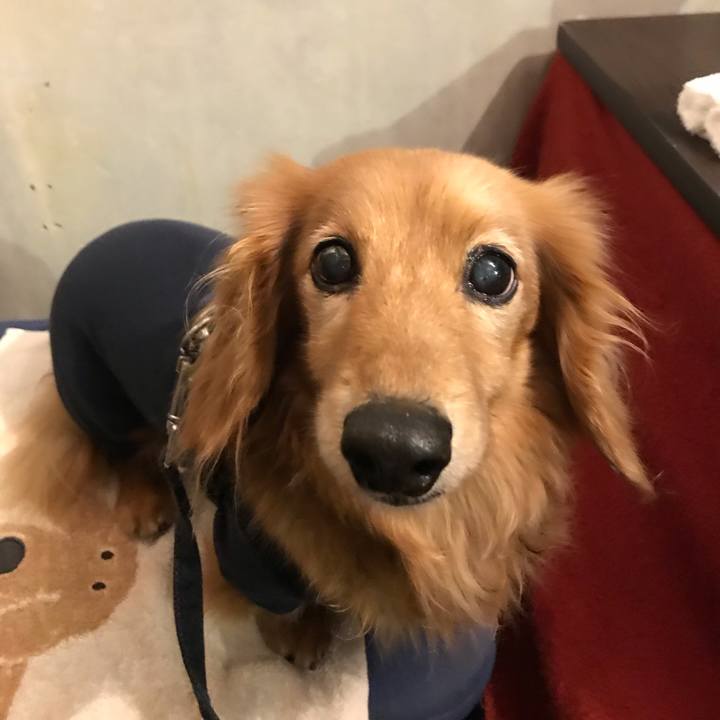 A5c38af1 e2b5 4620 b65e 6743cce4581b 1637146663060