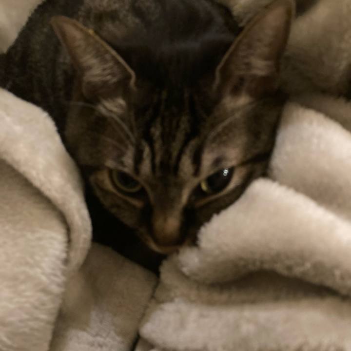 A5c395f6 9eff 468d bbc4 ef0147fbaa61 1673959170520