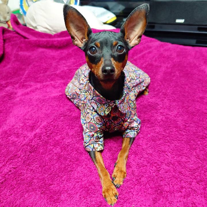 A5c3b1af 0fd2 491d afb8 733ee0bdb418 1763640824757