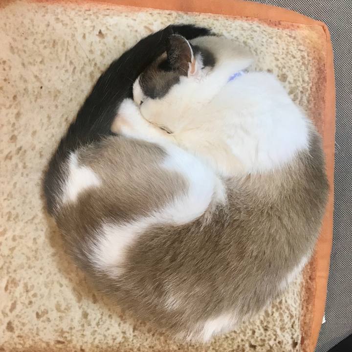 A5c3d044 2ba2 4d9f a558 1caae350a570 1576327744310