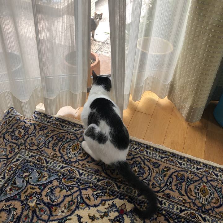 A5c3efe7 66cf 43fb a1bd 09c519404fbf 1625276005008