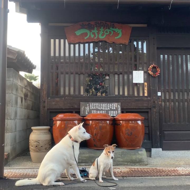 A5c4303d 590c 4fec b1dd 0eeb23291336 1545612624221