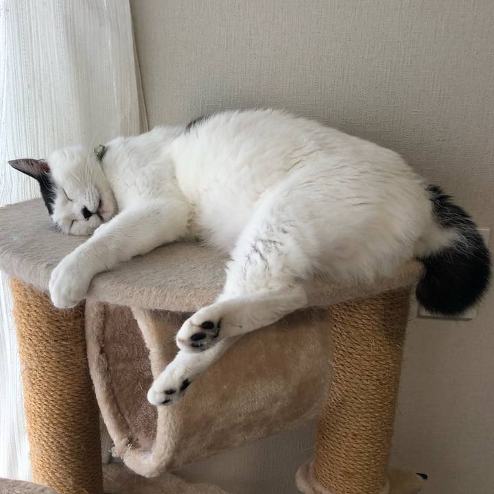 A5c43247 f171 44e9 b97f c9439489694c 1562888282696