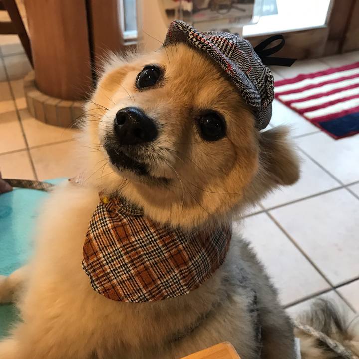 A5c478ea e1e8 4320 93f4 d01731f6c936 1577284940286