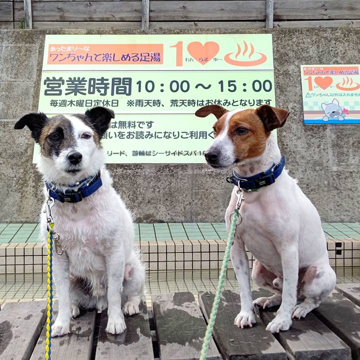 A5c47f7c 0e3e 4d4c 8331 e6b42f49edef 1678608937979