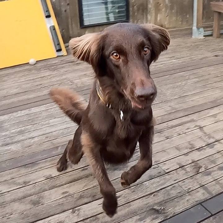 A5c480c3 11e4 4088 815d a81b3d84a286 1602849593806