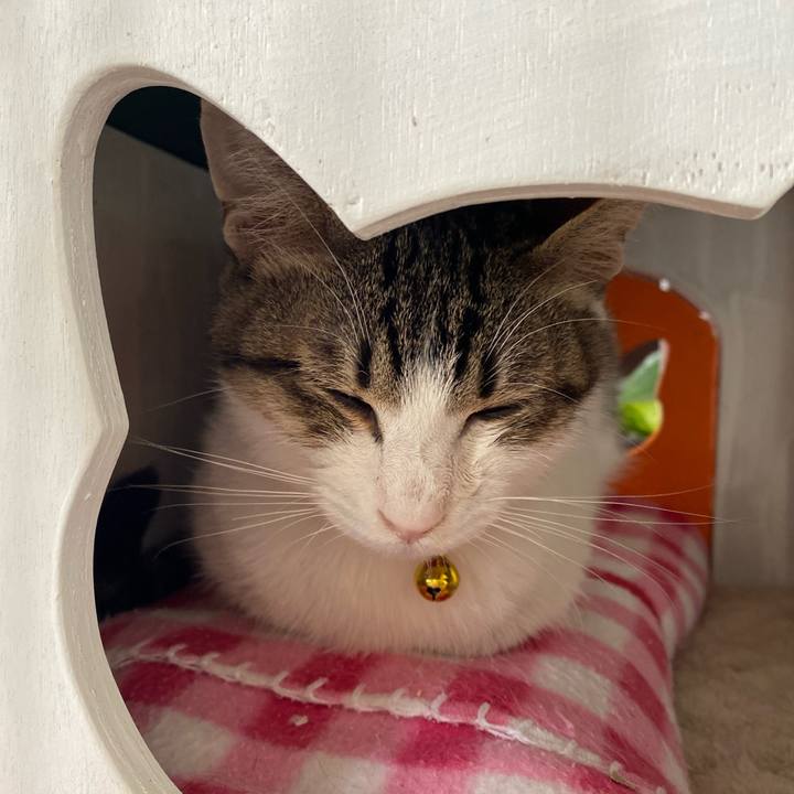 A5c48d9d 8254 424d 9833 2255cf5a181a 1702791035447