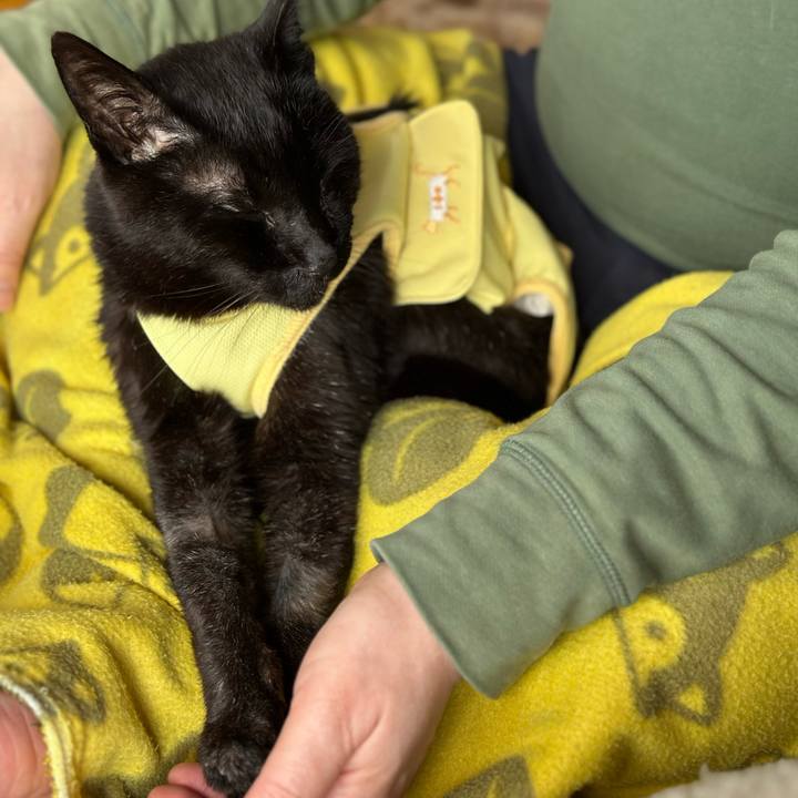 A5c4953a 17ea 4af2 ac97 e61b5b182aaf 1714271936696