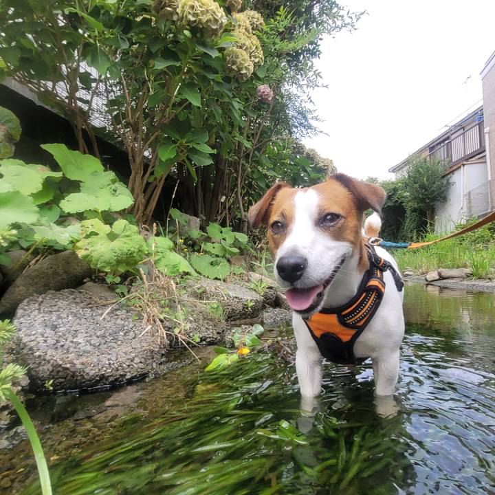 A5c498dc 36fb 4bd9 96b5 e56cb1f745cd 1689390832477