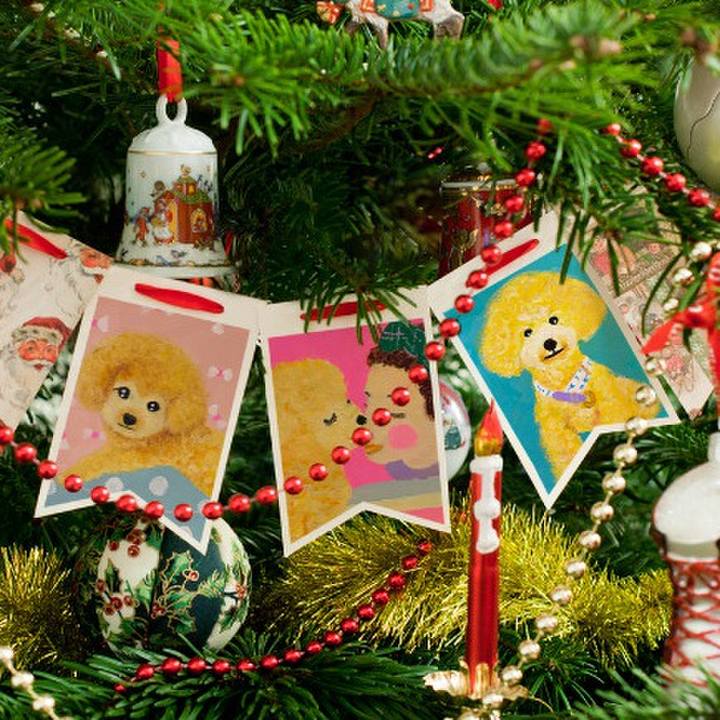 A5c50b28 0c5c 4e4a b990 1b6d64a0daa1 1543577094148