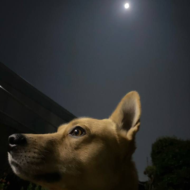 A5c50fdb 7bf4 4d5c a7cd d6304d2fd7cb 1604147433177