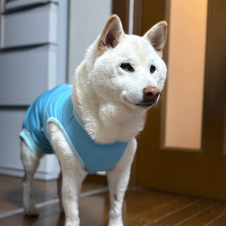 A5c54da3 a037 4c22 a931 39c1295123bf 1768902696118