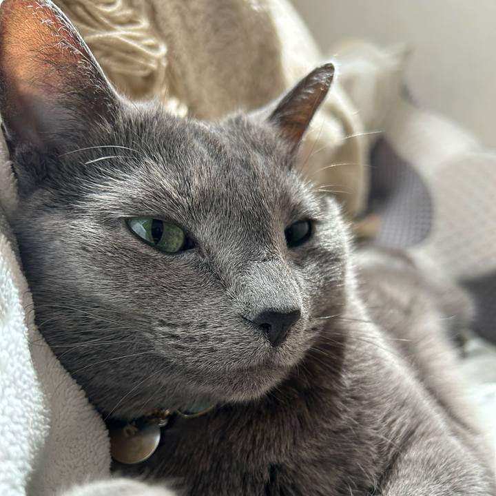 A5c5dc01 08c9 4387 b14e d1cfd4a25d3d 1711641129359