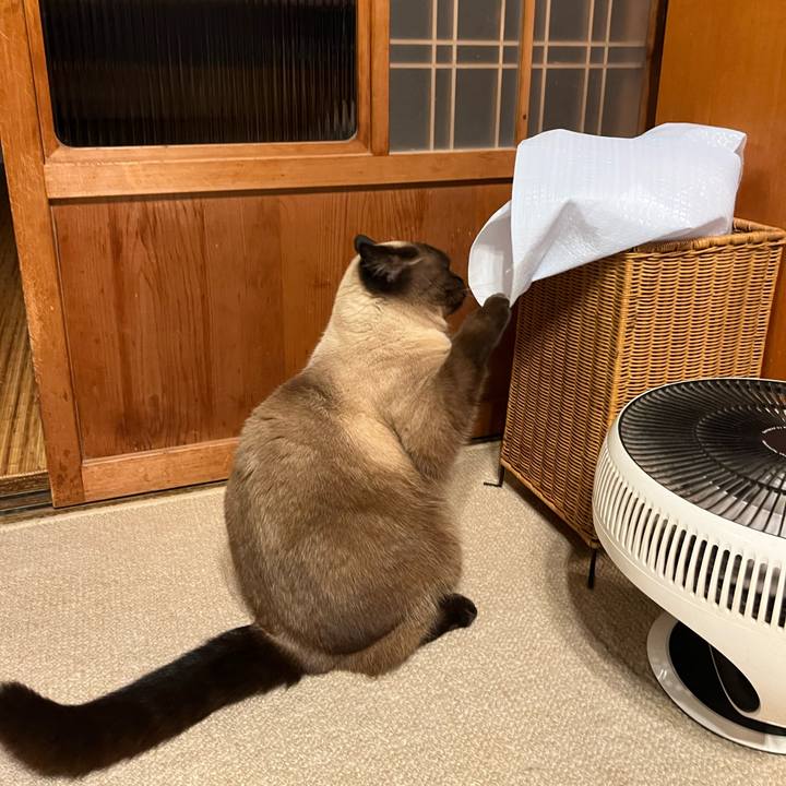 A5c611eb 4ada 46fa 8ad4 5e65067bfcf0 1710923761894