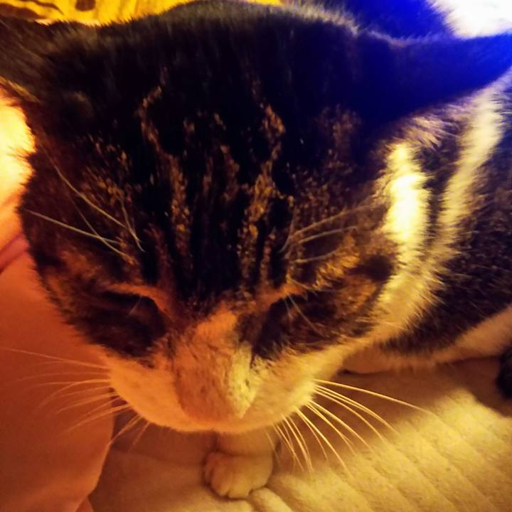 A5c65bfa 963a 4c1b ac33 cbb04631543b 1548431190669