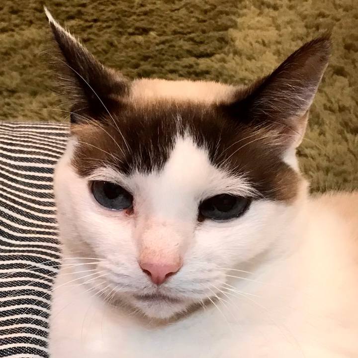 A5c6bced f334 4e1b 91fa 2d2c67096721 1612961254828