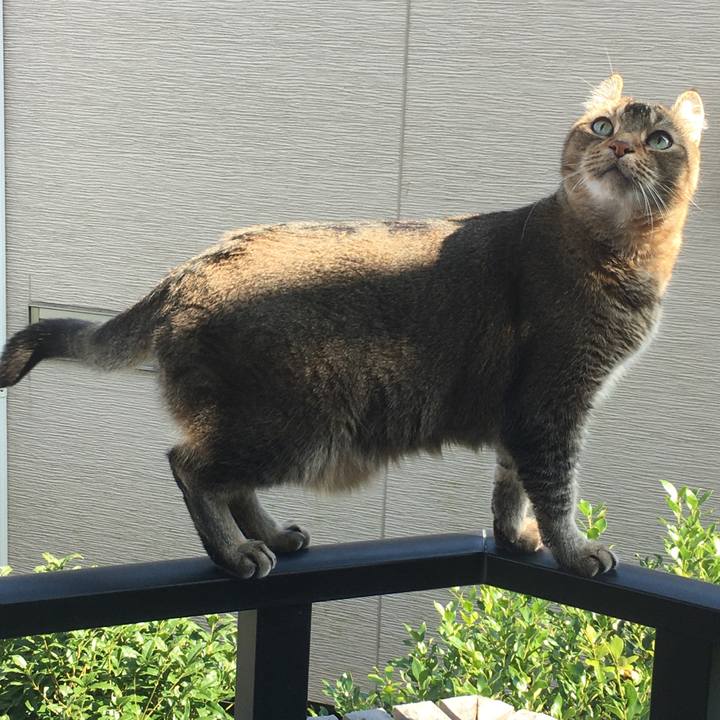 A5c6e252 200a 4469 95c7 8411061852d1 1655014107132