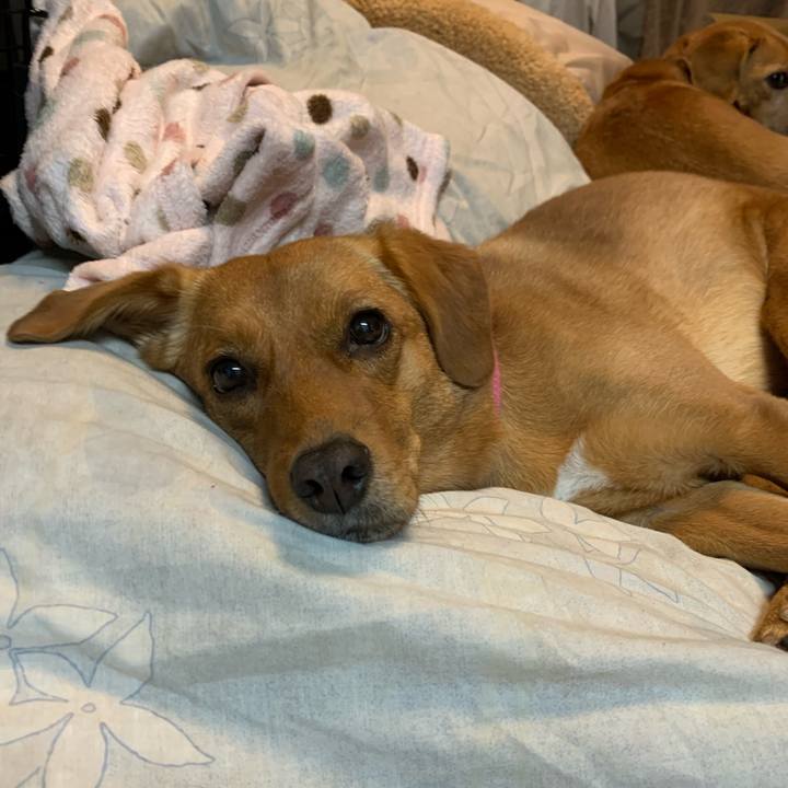 A5c7004f ea71 42c7 8a82 2ee2453f8e41 1574625297377