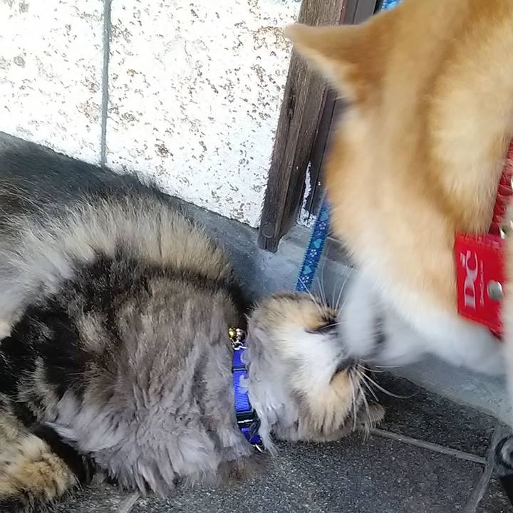 A5c72a0a 3ea4 408c b5bb 42a9161abb75 1630369888572