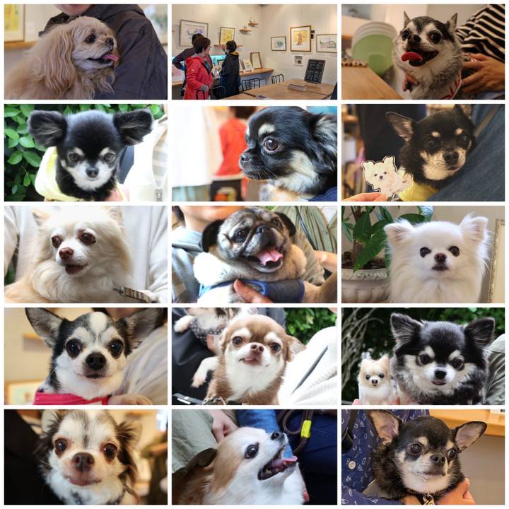 A5c74233 88d8 481e 9701 0632c41a18a2 1748744116821