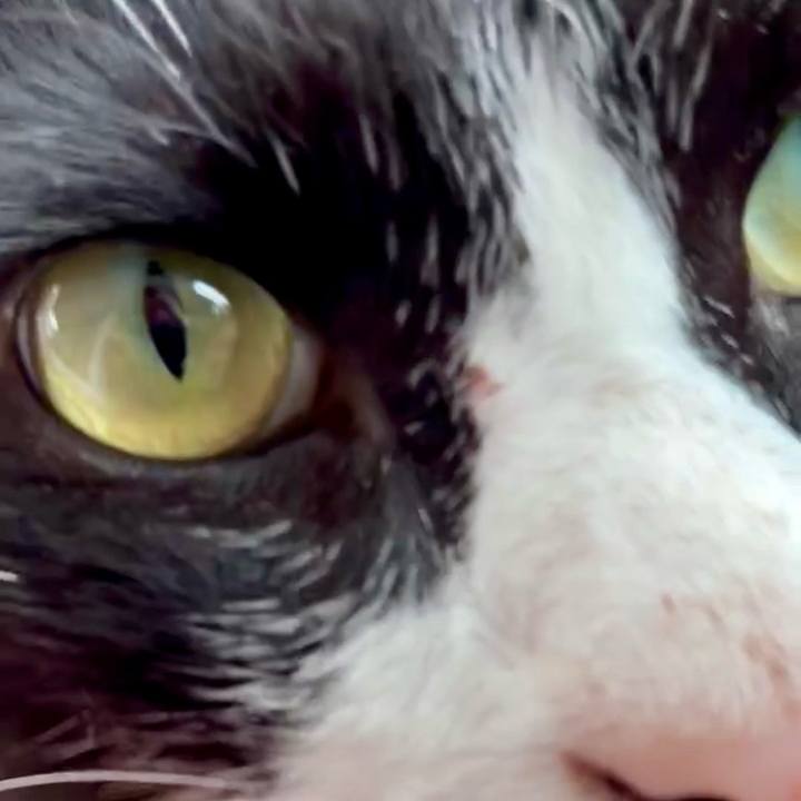 A5c78e15 b08f 4bef 9e2f f250fd580932 1747813588834