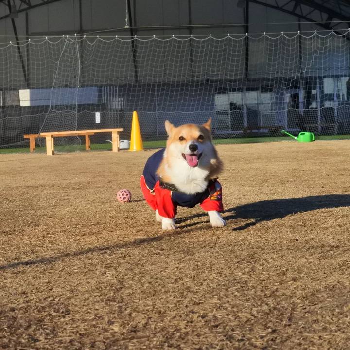 A5c7aa7f aa51 40dd b3f4 daa5357a488a 1612093605530