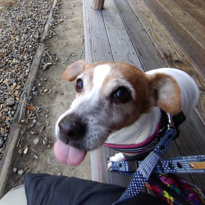 A5c7f3f0 6d61 4d8f 8d93 a4fdeac66b79 1770249578089