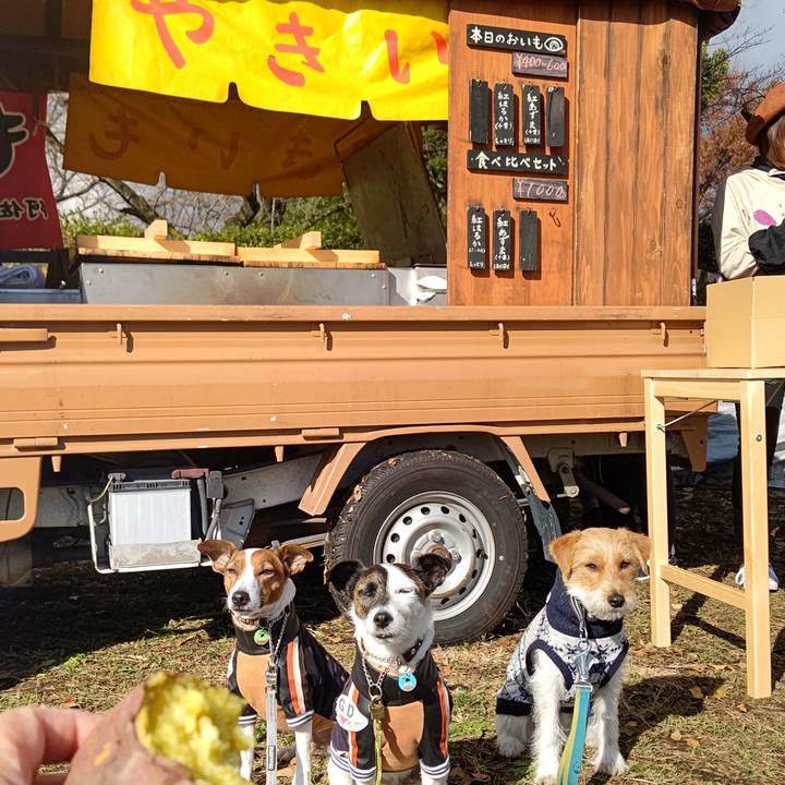 A5c8072c 13bf 474f 93ef 5e5f9882eb29 1671349763941