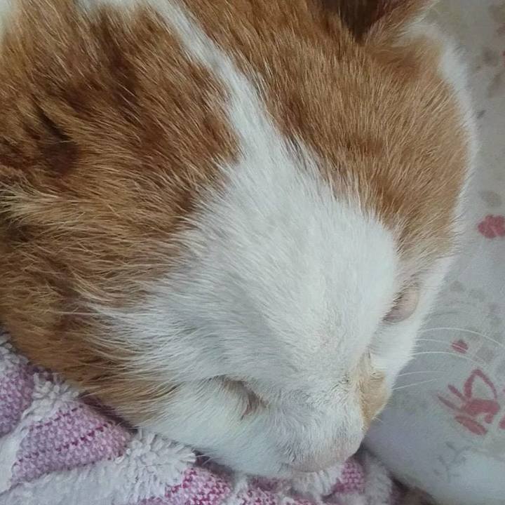 A5c817a3 e0ad 4f2f 994a 3c921feac926 1627034492196