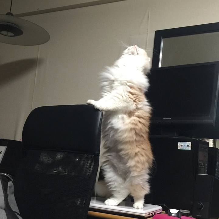 A5c831a1 0651 427d 9136 255b4668d566 1527218950751