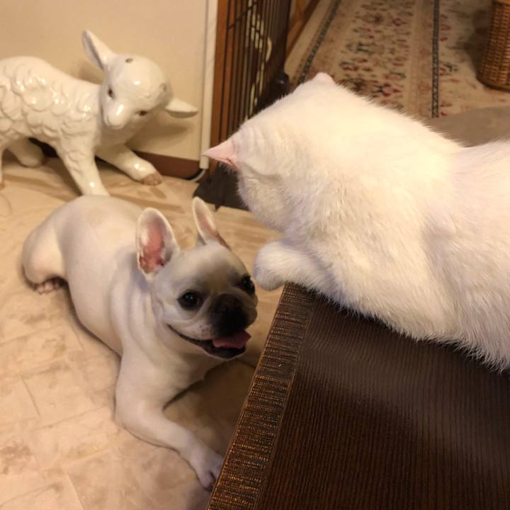 A5c84219 a585 4e09 9632 32336bddb139 1558959103333