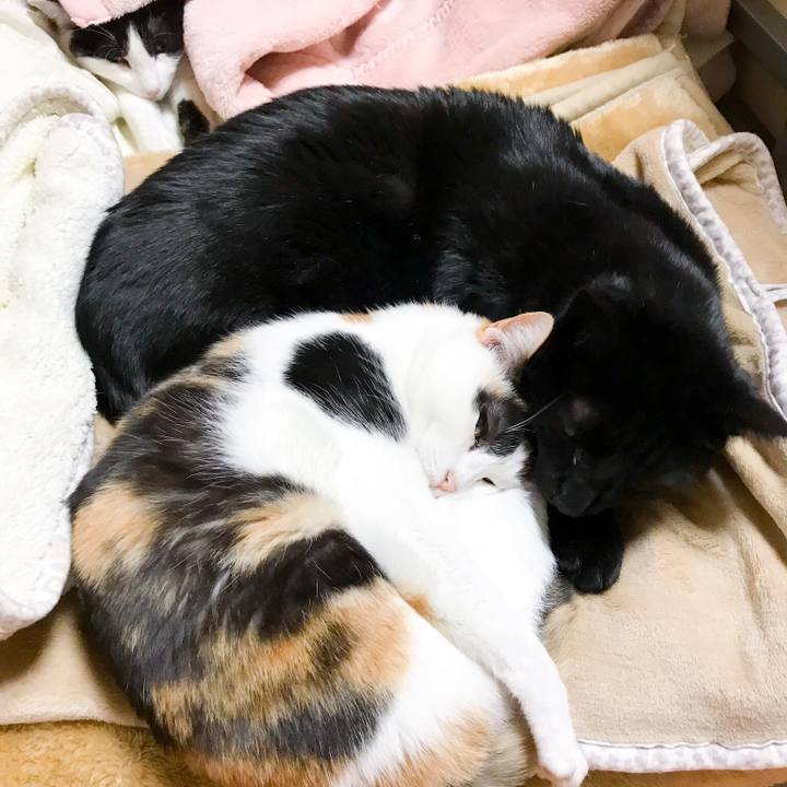 A5c8484f b558 4db6 ab12 88e43690fcd0 1514386418207