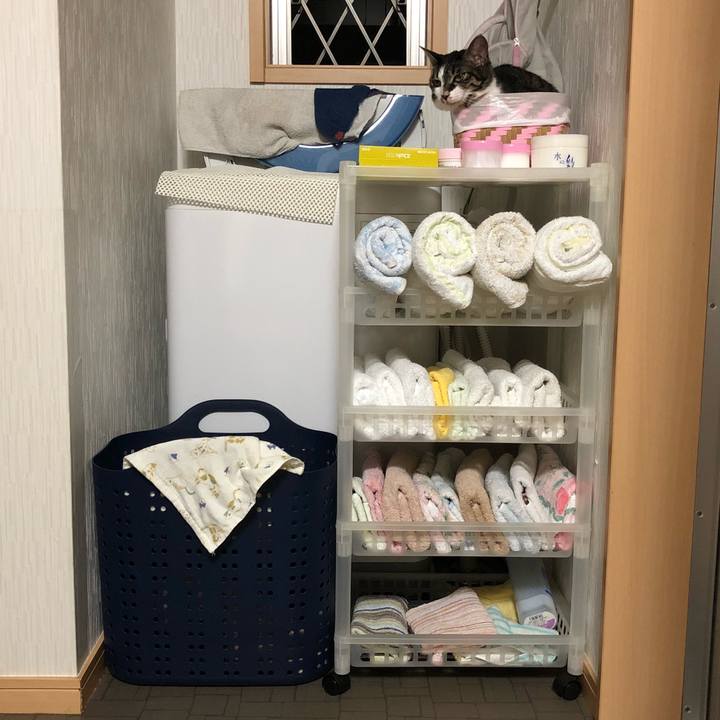 A5c8a786 a81e 4f8a 95fe 6355fd977321 1533416540161