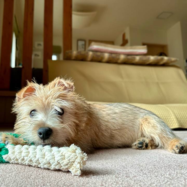 A5c8d3d5 6186 4ff1 bc6b ef5b354a740c 1704463269682