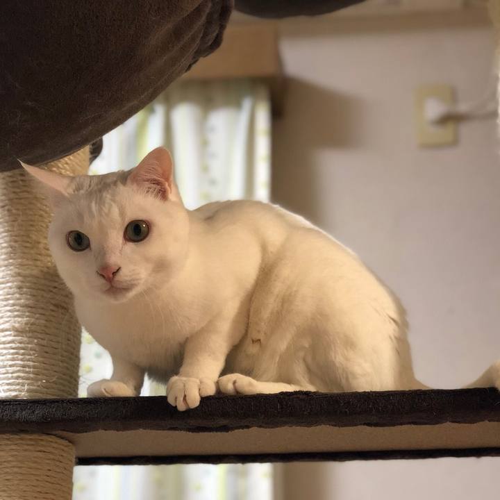 A5c8e422 0f1f 42de 828a e675ad32c586 1528627657827