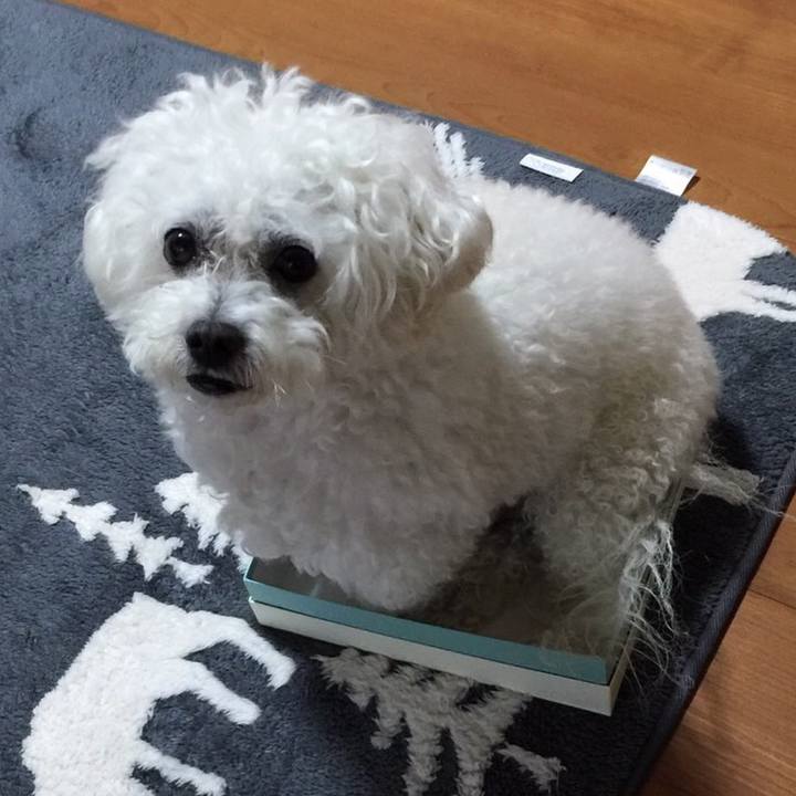 A5c8e53c fdf6 4853 8901 776d6f4f6d35 1667301727748