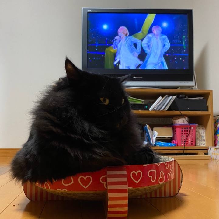 A5c8f1b1 d9c8 41c1 b951 ca3060aa2a69 1576927379012