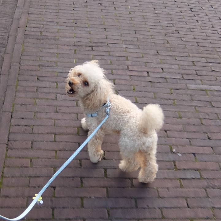 A5c9009f 4be6 41fd bebd ed7a98e9d95f 1597299496737