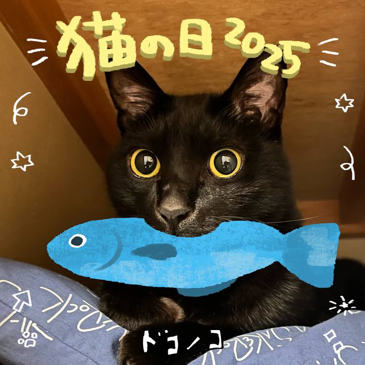 A5c911a1 fdc1 41f4 8a03 fb47909b2106 1740133450163